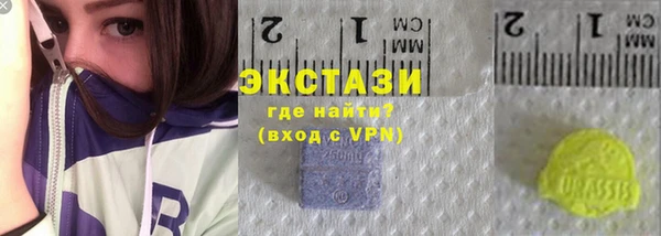 прущие грибы Абаза