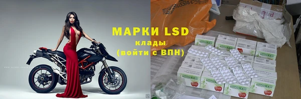 прущие грибы Абаза
