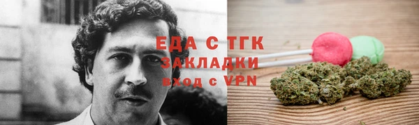 прущие грибы Абаза