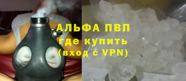 прущие грибы Абаза