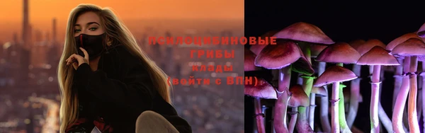 стафф Алзамай