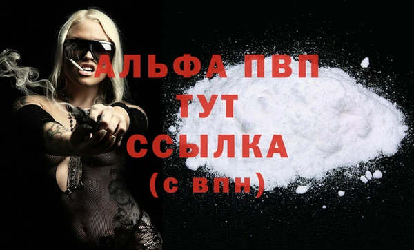 стафф Алзамай