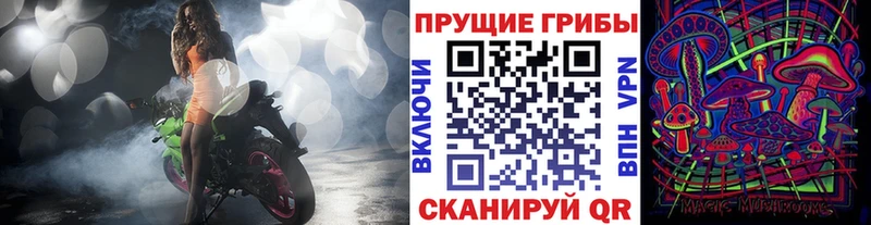 Псилоцибиновые грибы прущие грибы  ссылка на мегу зеркало  Катайск 